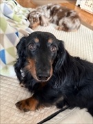 �~�j�`���A�_�b�N�X�@�ʐ^