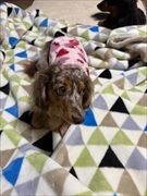 �~�j�`���A�_�b�N�X�@�ʐ^