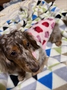 �~�j�`���A�_�b�N�X�@�ʐ^