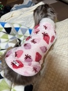 �~�j�`���A�_�b�N�X�@�ʐ^