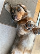 �~�j�`���A�_�b�N�X�@�ʐ^