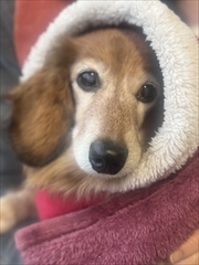 �~�j�`���A�_�b�N�X�@�ʐ^