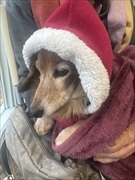 �~�j�`���A�_�b�N�X�@�ʐ^