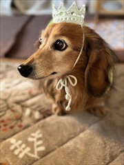 �~�j�`���A�_�b�N�X�@�ʐ^