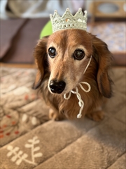 �~�j�`���A�_�b�N�X�@�ʐ^