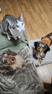 �~�j�`���A�_�b�N�X�@�ʐ^