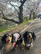 �~�j�`���A�_�b�N�X�@�ʐ^