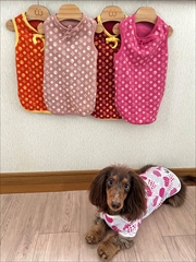 �~�j�`���A�_�b�N�X�@�ʐ^