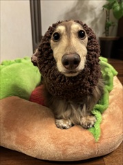 �~�j�`���A�_�b�N�X�@�ʐ^