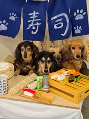 �~�j�`���A�_�b�N�X�@�ʐ^