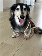 �~�j�`���A�_�b�N�X�@�ʐ^