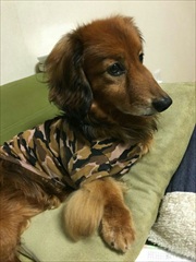 �~�j�`���A�_�b�N�X�@�ʐ^