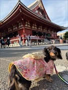 �~�j�`���A�_�b�N�X�@�ʐ^