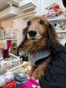 �~�j�`���A�_�b�N�X�@�ʐ^