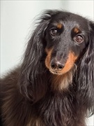 �~�j�`���A�_�b�N�X�@�ʐ^