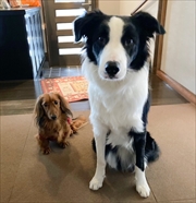 �~�j�`���A�_�b�N�X�@�ʐ^