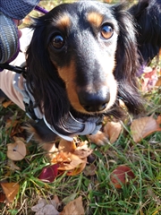 �~�j�`���A�_�b�N�X�@�ʐ^