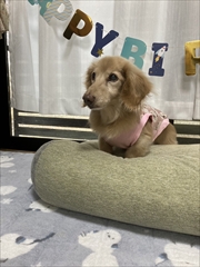 �~�j�`���A�_�b�N�X�@�ʐ^