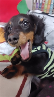 �~�j�`���A�_�b�N�X�@�ʐ^