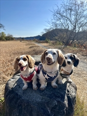 �~�j�`���A�_�b�N�X�@�ʐ^