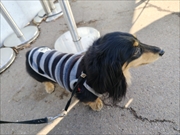 �~�j�`���A�_�b�N�X�@�ʐ^