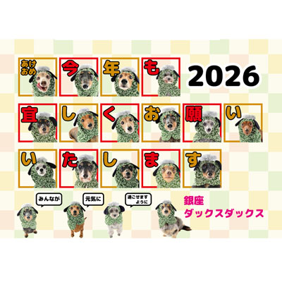 ミニチュアダックスのフード