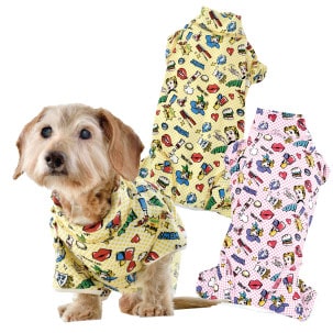 犬用おやつ　銀座JMSホームメイド　DDオリジナルケーキ