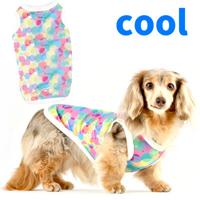 犬用おやつ　銀座JMSホームメイド　DDオリジナルケーキ