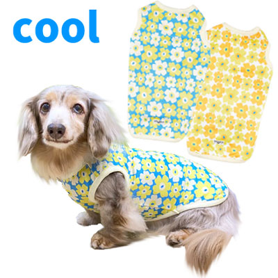 犬用おやつ　銀座JMSホームメイド　マリのメロメロクッキー