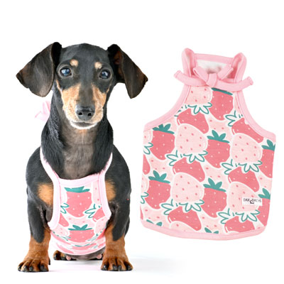 犬用おやつ　銀座JMSホームメイド　つむじのふりかけ