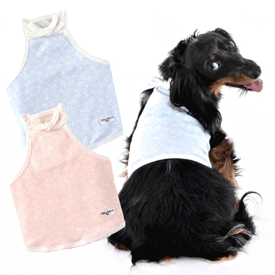 犬用おやつ　銀座JMSホームメイド　リリータンのふりかけ