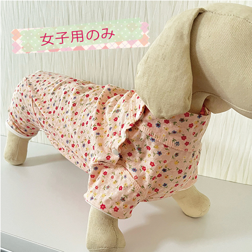 犬用おやつ　銀座JMSホームメイド　DDオリジナルケーキ