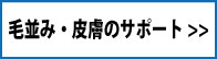 毛並み・皮膚のサポート一覧へ