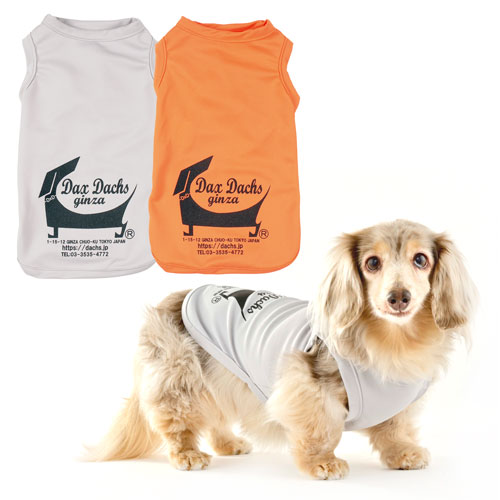 �����^���N