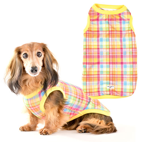 チェックボアタンク