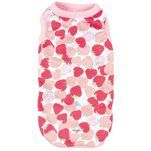 �����^���N