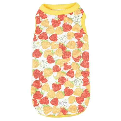 �����^���N