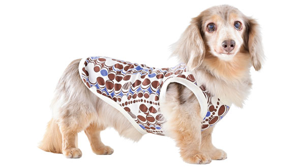 �~�j�`���A�_�b�N�X�t���h�̎ʐ^