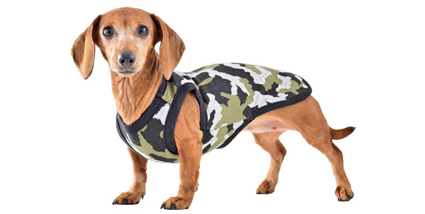 �~�j�`���A�_�b�N�X�t���h�̎ʐ^