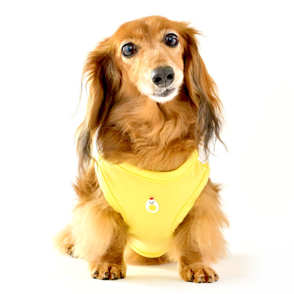 �����^���N