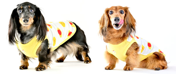 �~�j�`���A�_�b�N�X�t���h�̎ʐ^