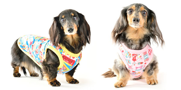 �~�j�`���A�_�b�N�X�t���h�̎ʐ^