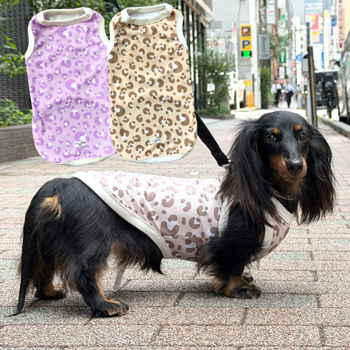 チェックボアタンク