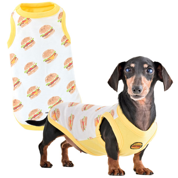 もこもこうさぎタートル