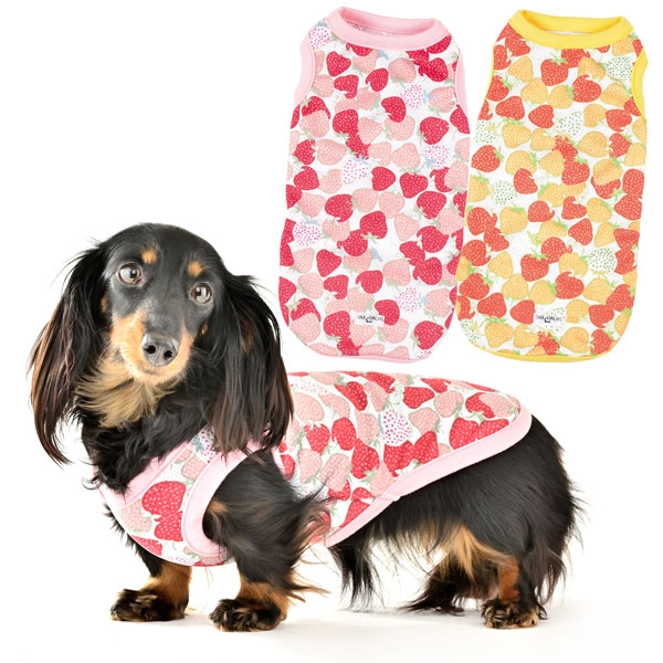 チェックボアタンク