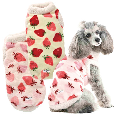 ブランシュ様♥️ダックス 虫歯予防デー オブジェ ブランシュ様♥️ダックス 虫歯予防デー オブジェ ダックス - sweetsdog